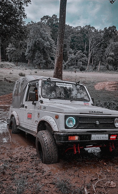 多次撕破挪 多次撕破挪