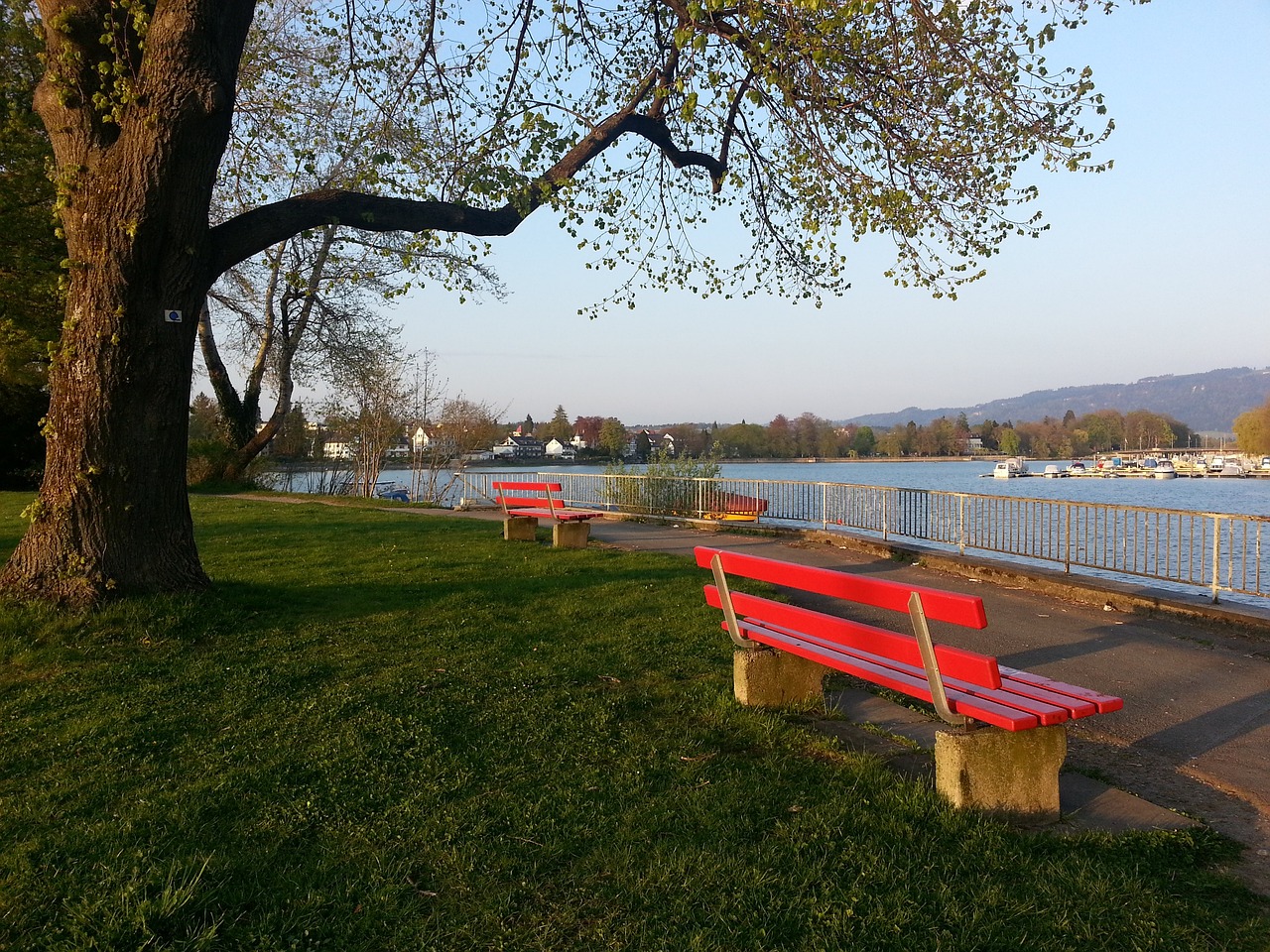 际舞台的荣 际舞台的荣