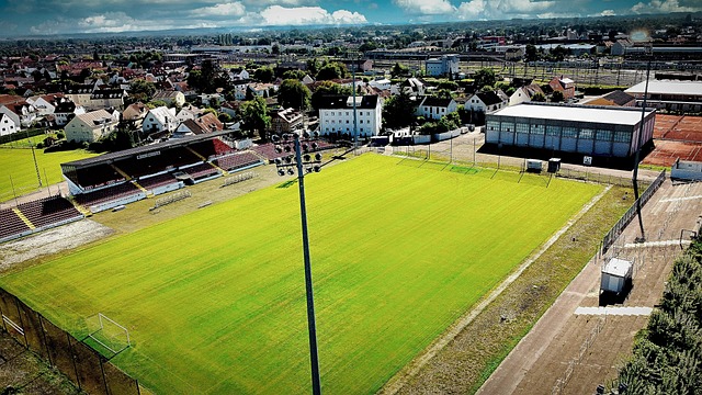 凭借寒冰射 凭借寒冰射