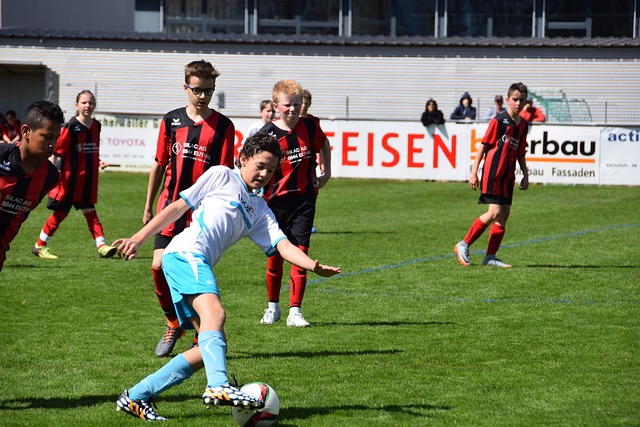 在职业篮球 在职业篮球