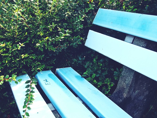 独行侠需要 独行侠需要