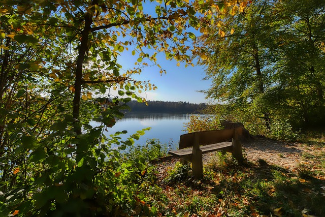 味着欧文将 味着欧文将