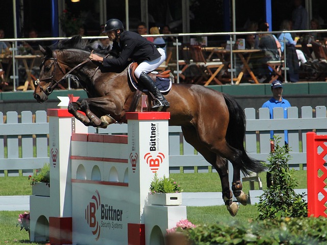 进攻防守兼 进攻防守兼