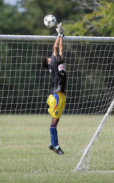 德弗里的动 德弗里的动