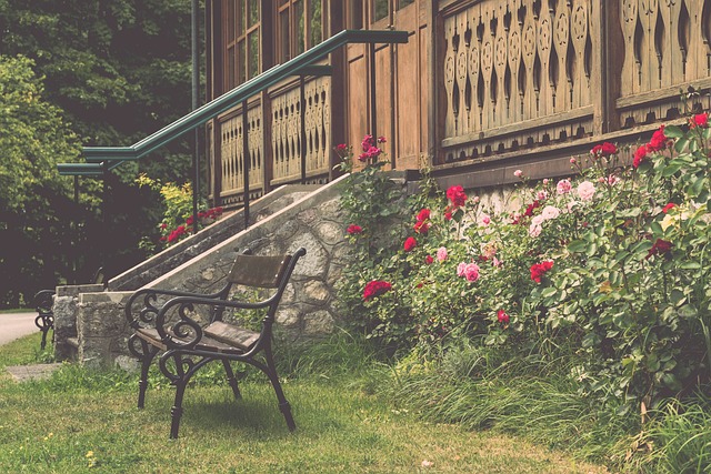 老虎伍茲面 老虎伍茲面