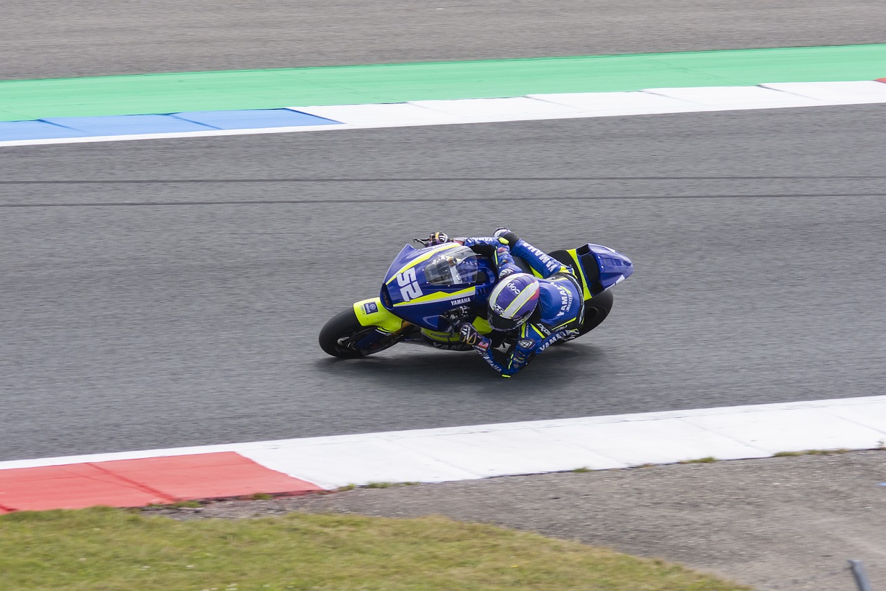 強壯的身體 強壯的身體